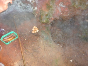 Cooking eggs in the Volcano stream..